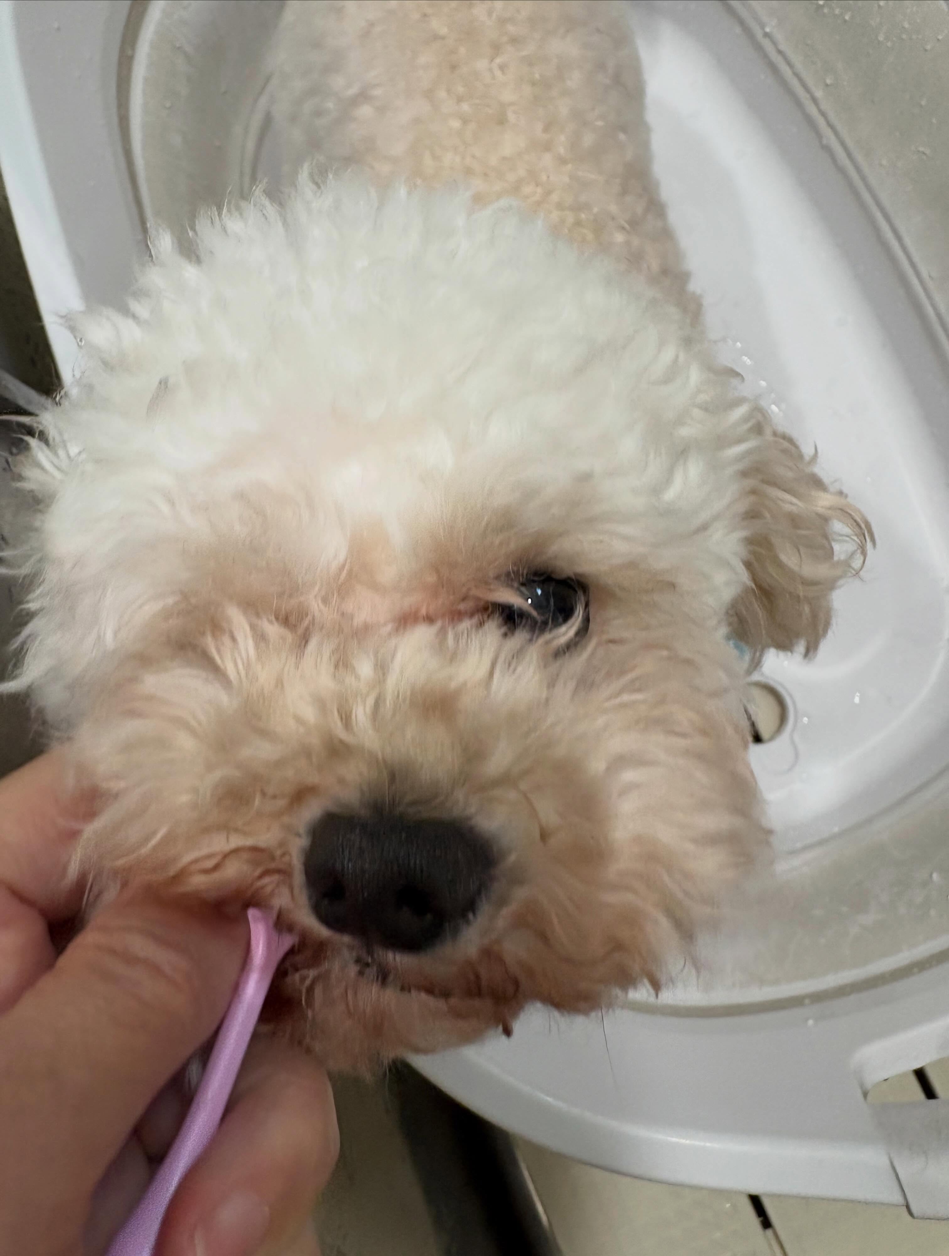 ギャラリー11